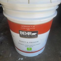 Behr Paint Flat