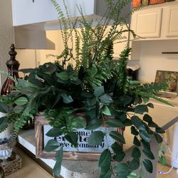 Artificial 🌱 plant Home decor🏡
