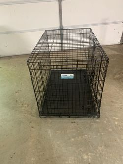 Midwest medium dog crate