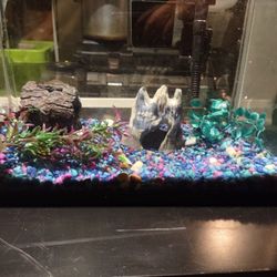 Fish Tank 