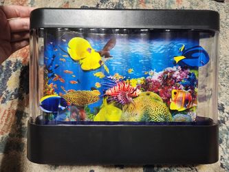 Moving lighted fish display