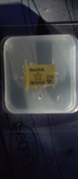 Nintendo Switch SD Card (256 gb)