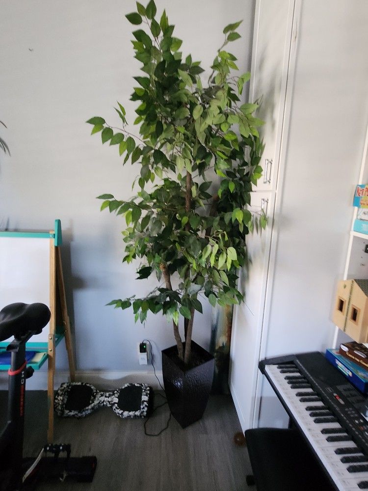 6ft Beautiful Fake Plant With Nice Timeless Vase, Great Condition, Fluffy And Plump Lots Of Leaves And Branches To give Full Look