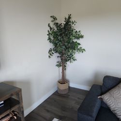 Indoor 2 Decorations Trees