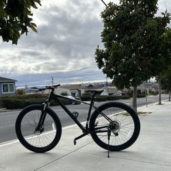 Mountain Bike