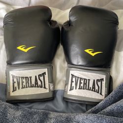 12 OZ Everlast boxing gloves