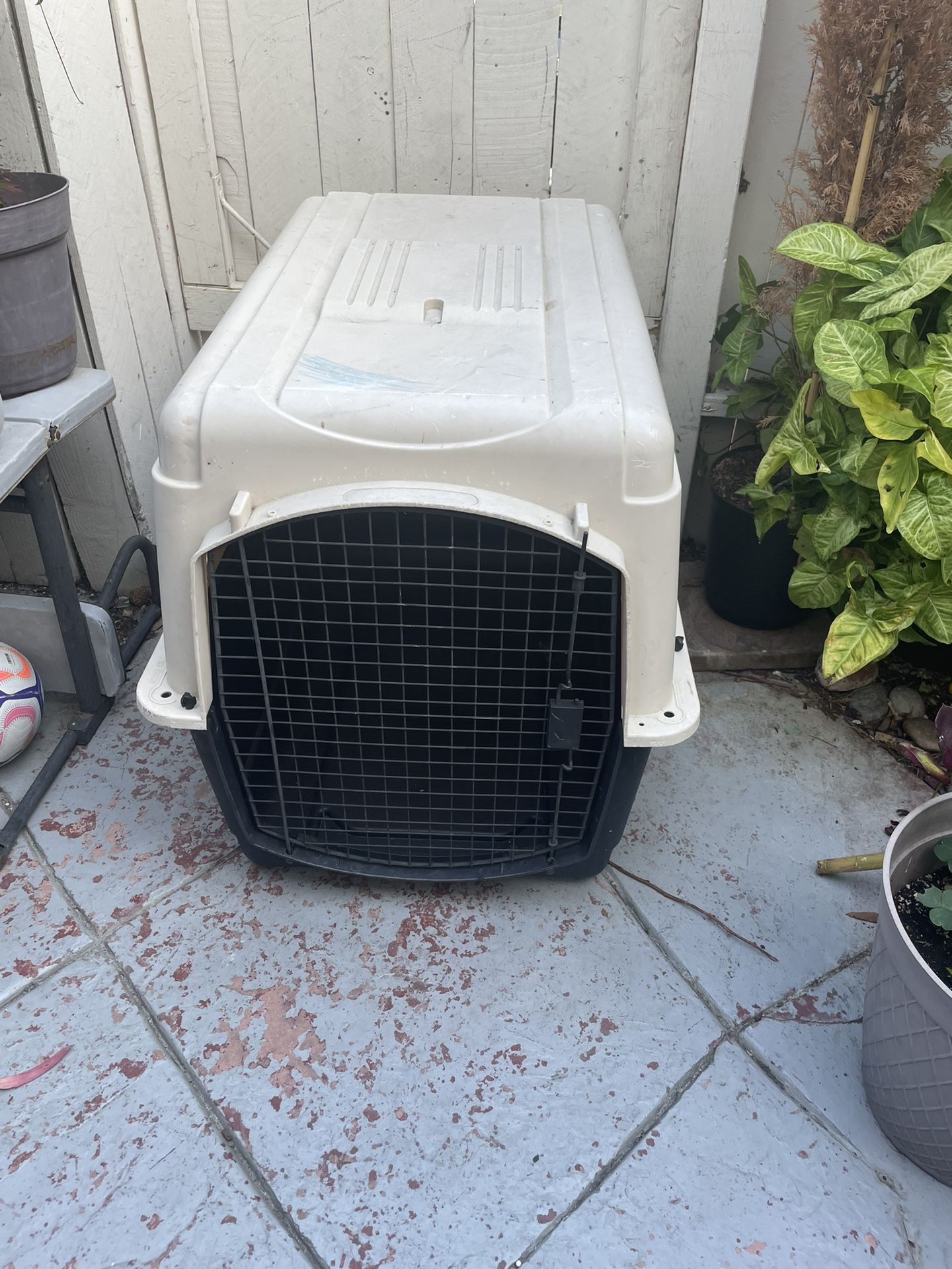 Large Dog Kennel