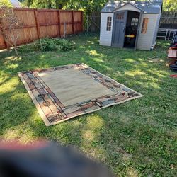 Area Rug Great Condition