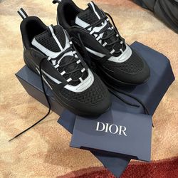 Dior b22