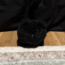 Jellycat Black Kitten Caboodle 