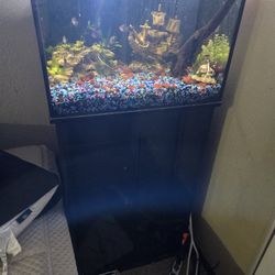 40gal tank and stand 