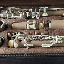 Eastrock clarinet with carry case in excellent/like new condition. $75