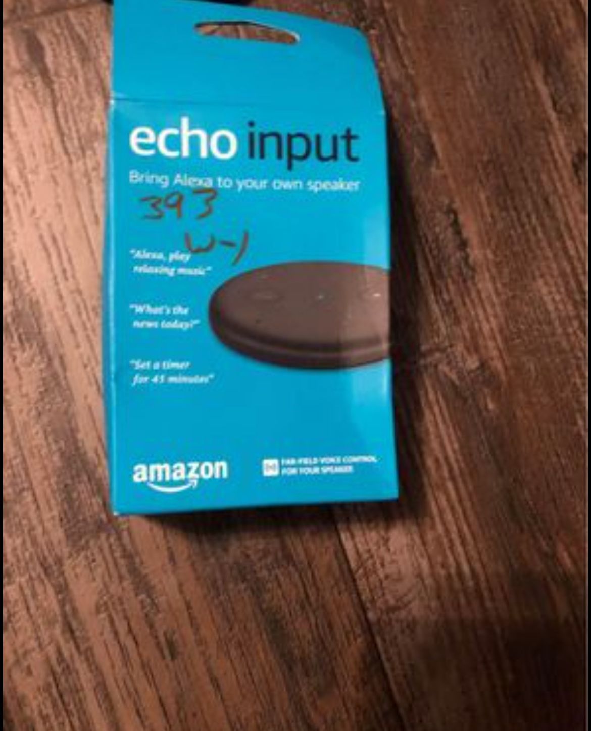 Echo Input