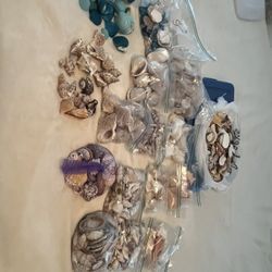 Sea Shells - Assorted Size and shapes 