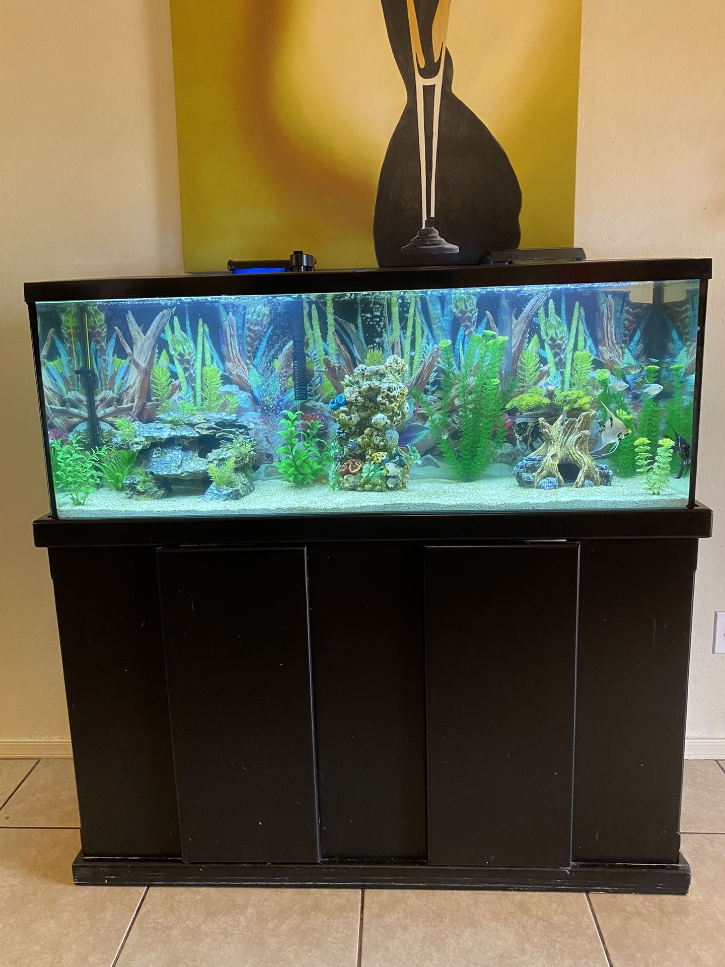Fish Tank, 55 Gallons Aquarium With Stand