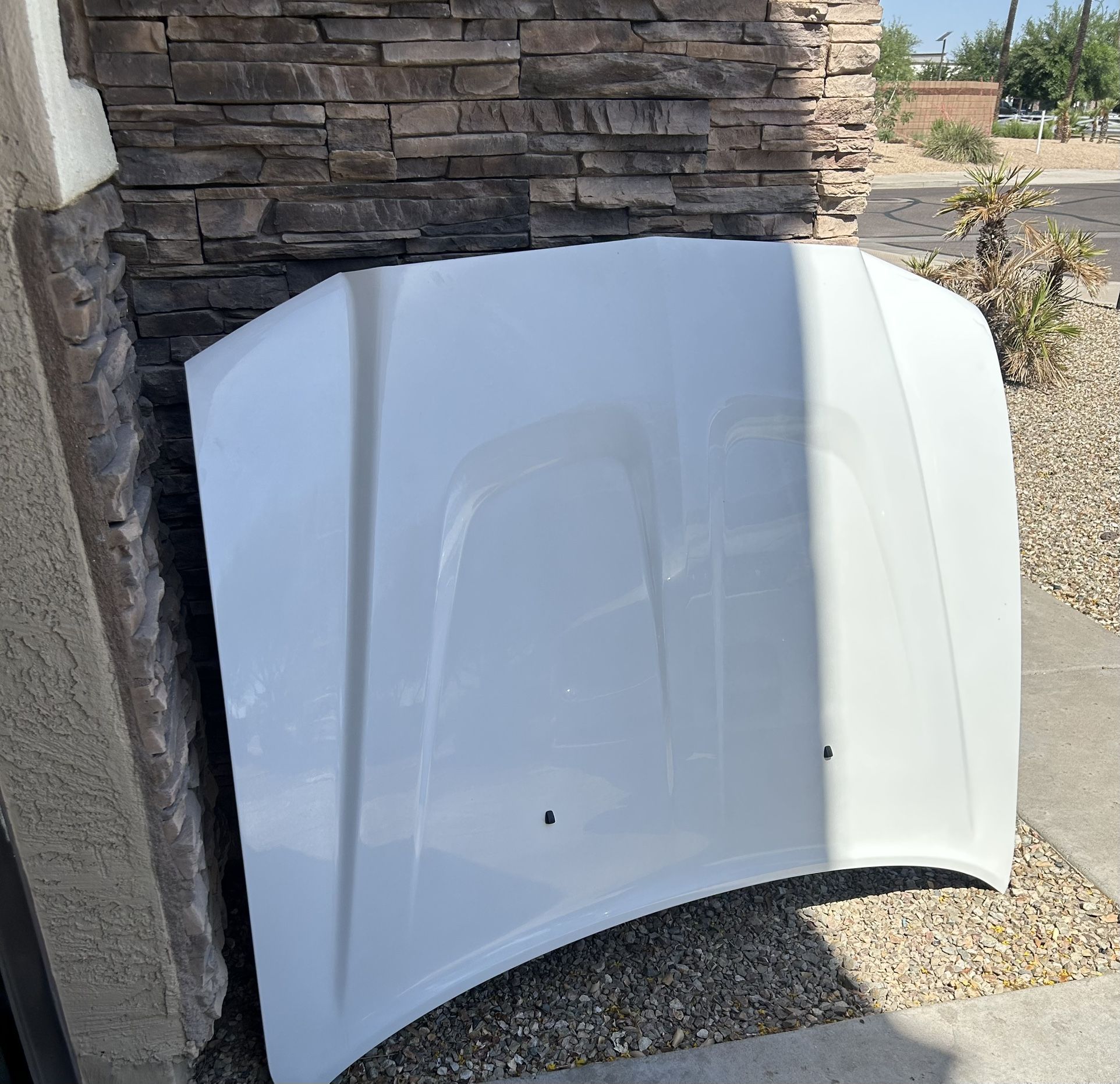 Dodge Charger hood 11-14