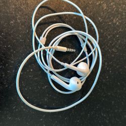 Apple Earbuds Used