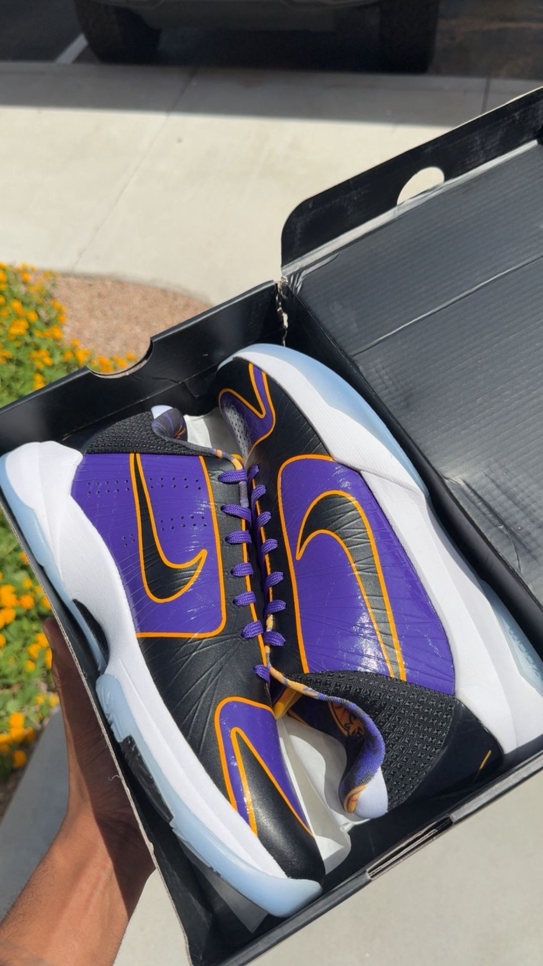 Nike Zoom Kobe 5 Protro '5x Champ' Purple Men’s Size 13