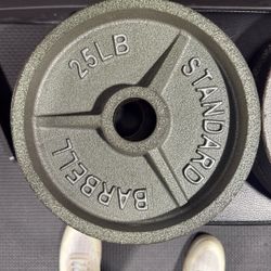 25 Lb Plates For Sale - $20 Each