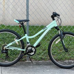Trek Precaliber 24” Kids MTB