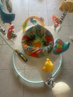 Fisher Price Animal Activity Jumperoo