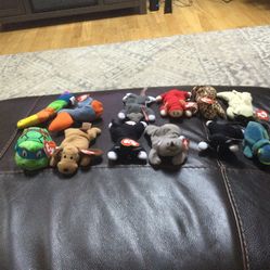 12  Retired Tiny Ty Babies