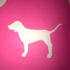 Victoria’s Secret Pink boutique