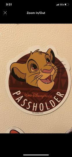 Disney passholder magnet