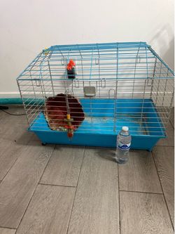 Bunny cage
