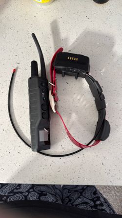 Garmin tt15x dog training collar with Garmin pro 550 handheld