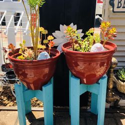 PLANT STANDS WITH POTTED PLANTS 