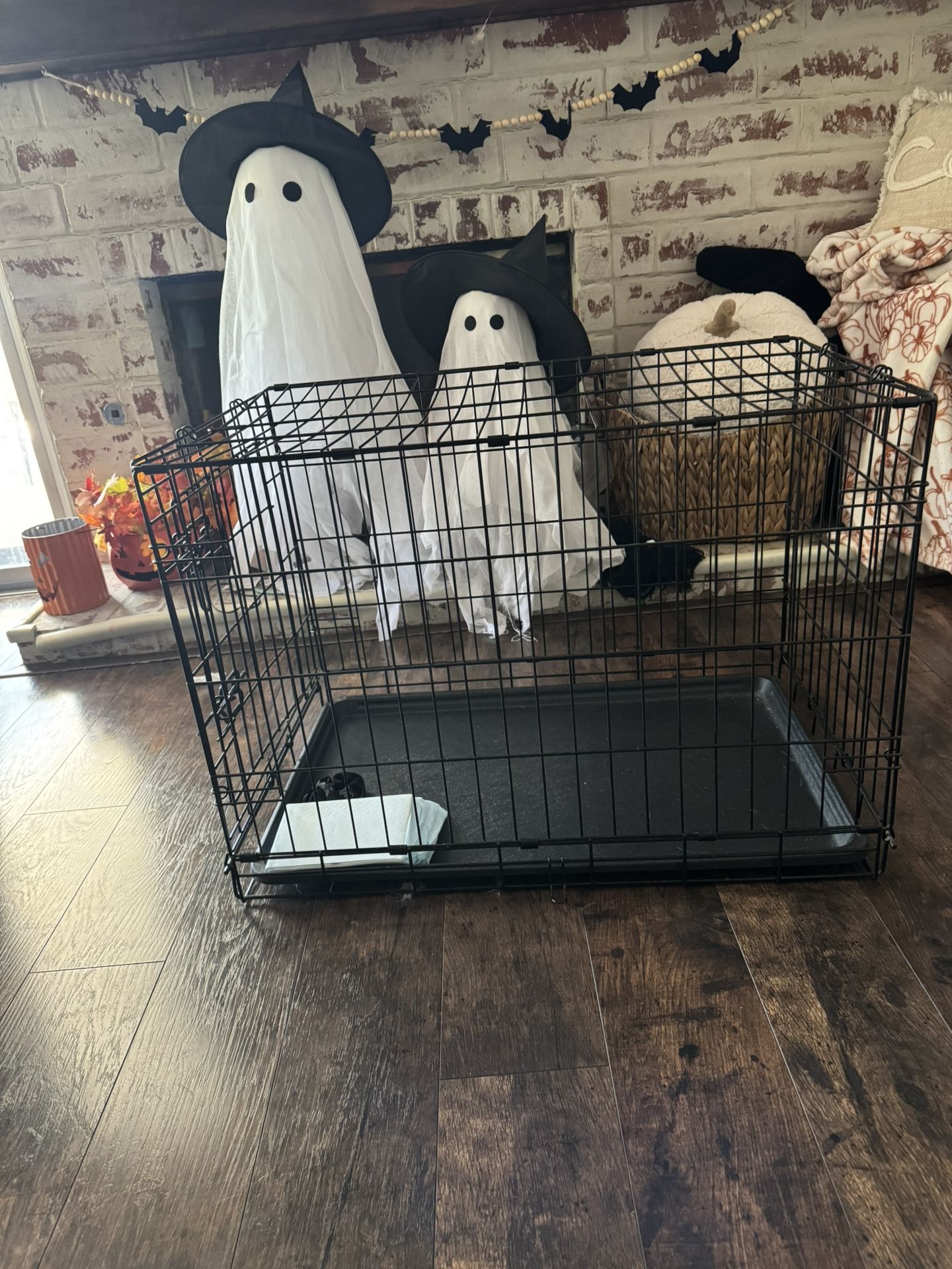 Dog Crate