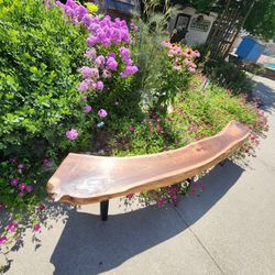 Live Edge Black Walnut Bench 