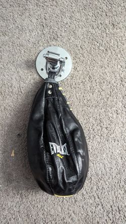 everlast speed bag with  hinge