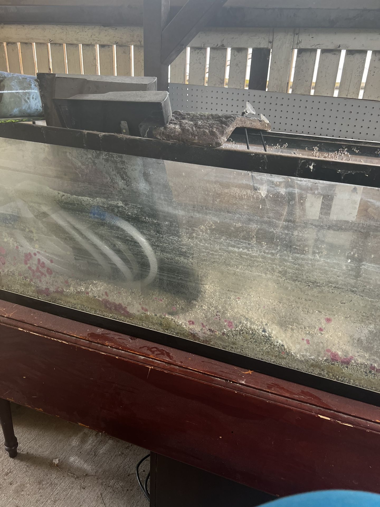 50 Gallon Fish Tank With Stand