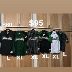 Jerseys de Michoacan