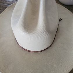 Two Coyboy Hats
