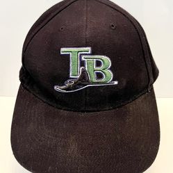 Vintage Tampa Bay Devil rays Hat