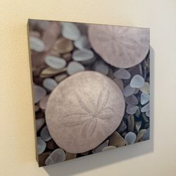 Beach/Sea Glass Theme Set Of 2 Canvas Prints