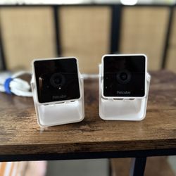 2 Pet Cube cameras
