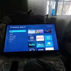 Roku Tv 
