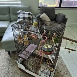 Bird Cage 