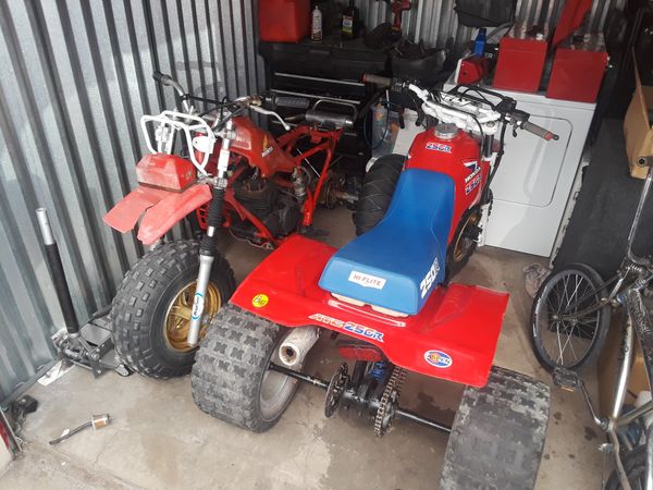 1981 honda atc 250r for sale 1981 honda atc 250r for sale