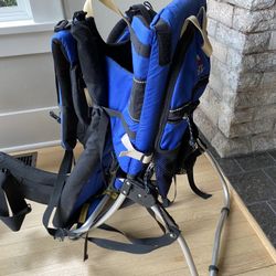 Kelty Child Carrier