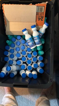 Clorox Bleach