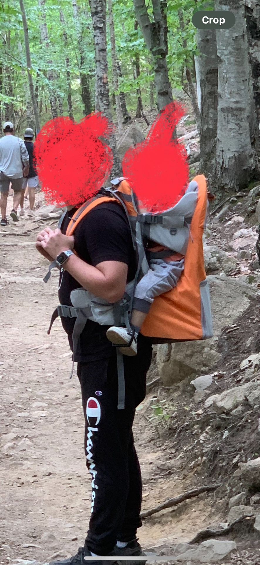 toddler hiking carrier backpack