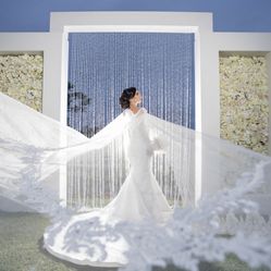 Wedding Veil