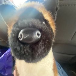 Akita Douglas Dog Stuffed Animal