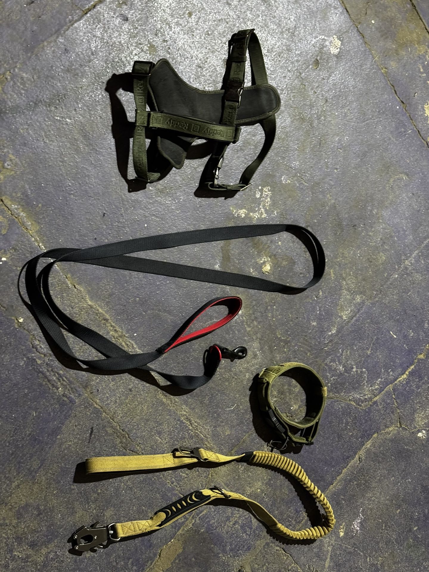 Dog Collar, Leashes & Harness