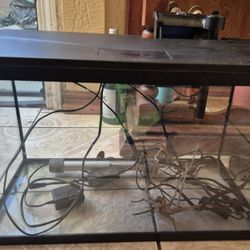 10 Gallon Tank With Heater And Filter